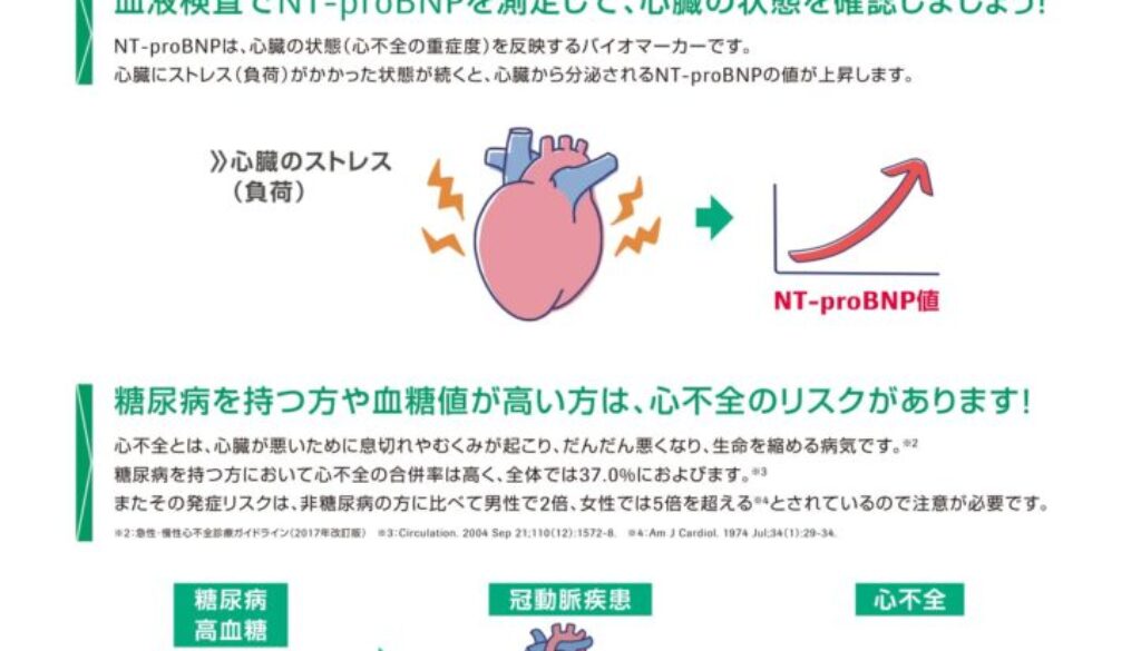 NT健診受診者向け糖尿病啓発 (L)-1